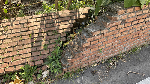 外観から建物の劣化状況の確認